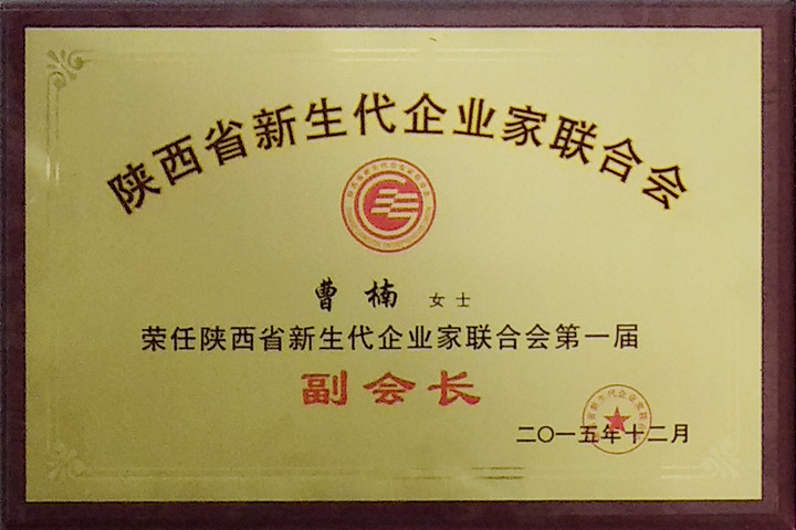 陝西新(xīn)生代企業家副會長(cháng).jpg